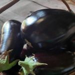 Salzen von Auberginen vor dem Kochen: So verschwindet die Bitterkeit und der perfekte Geschmack entsteht salzen-von-auberginen-vor-dem-kochen-so-verschwindet-die-bitterkeit.jpg